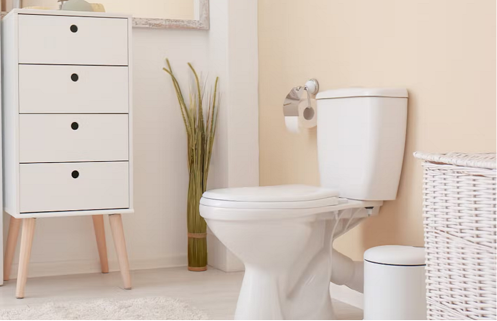 Bồn cầu hai khối